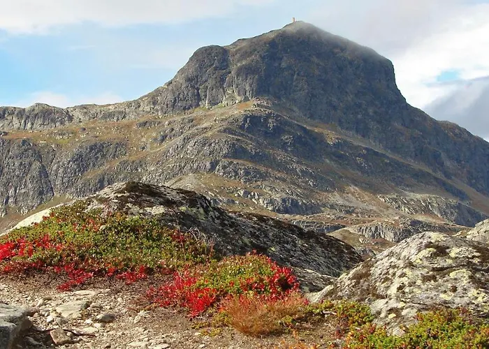 Sentrum, Terrasse Og Innendors Parkering